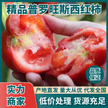 普罗旺斯西红柿，产地大量供应，支持视频看货，量大从优。