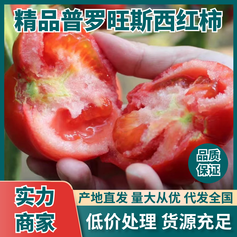 普罗旺斯西红柿，产地大量供应，支持视频看货，量大从优。