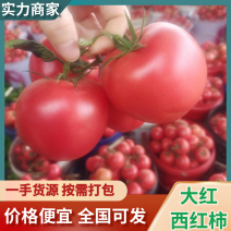 大红西红柿，产地看货论价，一首货源，欢迎各位老板订购。