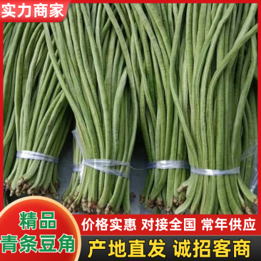 豆角长豆角青条豆角產地直销视频看货打款发货