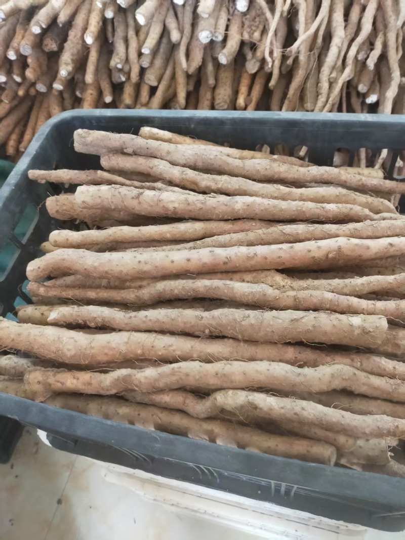 富硒山药铁棍山药基地直发一手货源自己种植量大从优