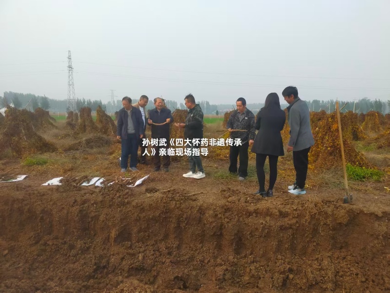 富硒山药铁棍山药基地直发一手货源自己种植量大从优