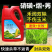 30%硝烟莠去津玉米苗后封闭除草剂不伤玉米老牌除草剂