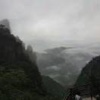 魏全军的一亩田店铺