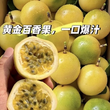 【实力推荐】百香果精品果子产地直发量大从优可对接电商等