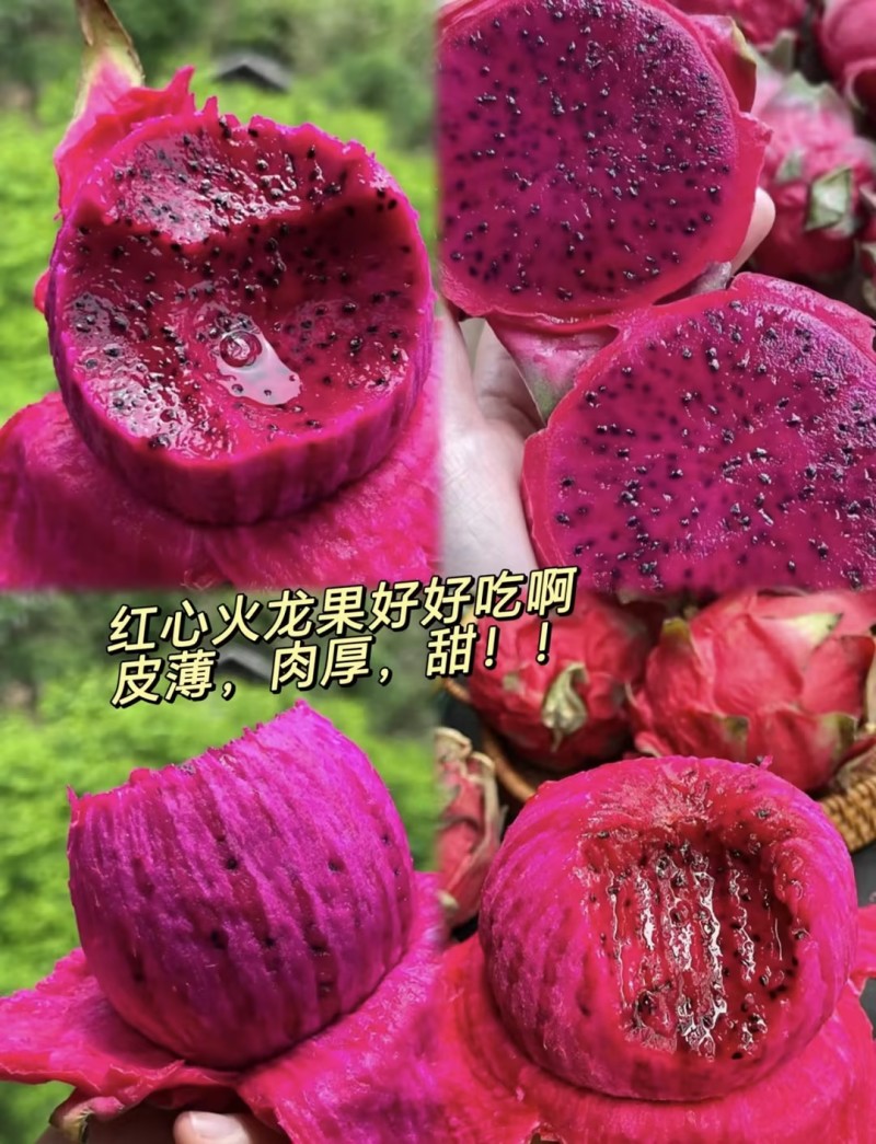 【一件可发】红心火龙果量大从优可视频看货对接全国电商等