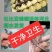 杜比亚蟑螂繁育基地，常年供应优质杜比亚蟑螂种虫各种规格齐