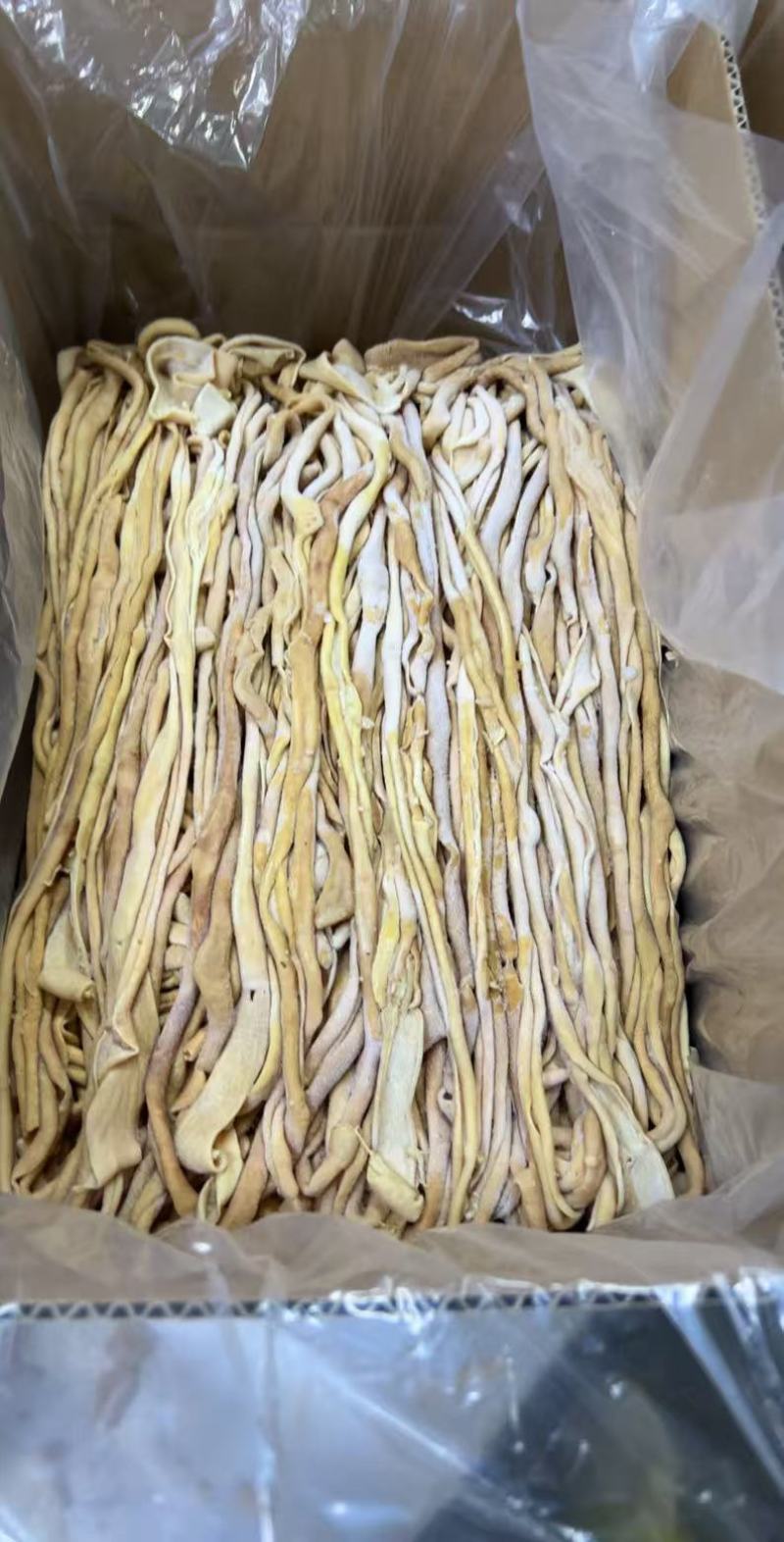 1X12鸭肠品质保证服务周到产地直发价格美丽欢迎联系