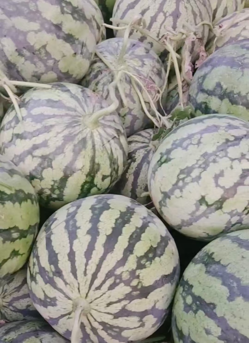安生818西瓜产地直供货源充足皮薄肉好水分多，甜度高。