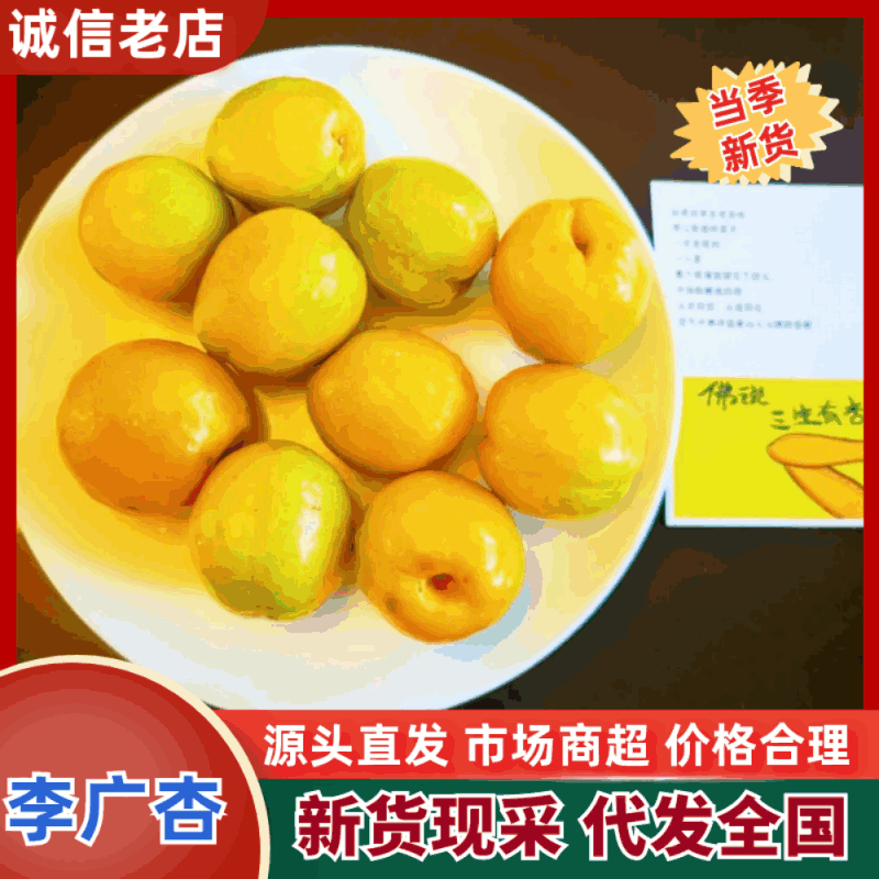 【精品】甘肃杏李广杏基地直供大量特惠供应一件代发