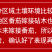 砧木种子番茄嫁接专用钻木种籽丽砧一号抗死棵丽砧二号抗青枯