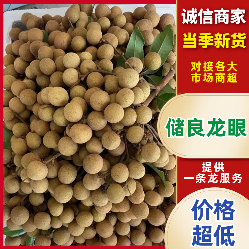 广东储良龙眼2026现货直发源产地一手货源