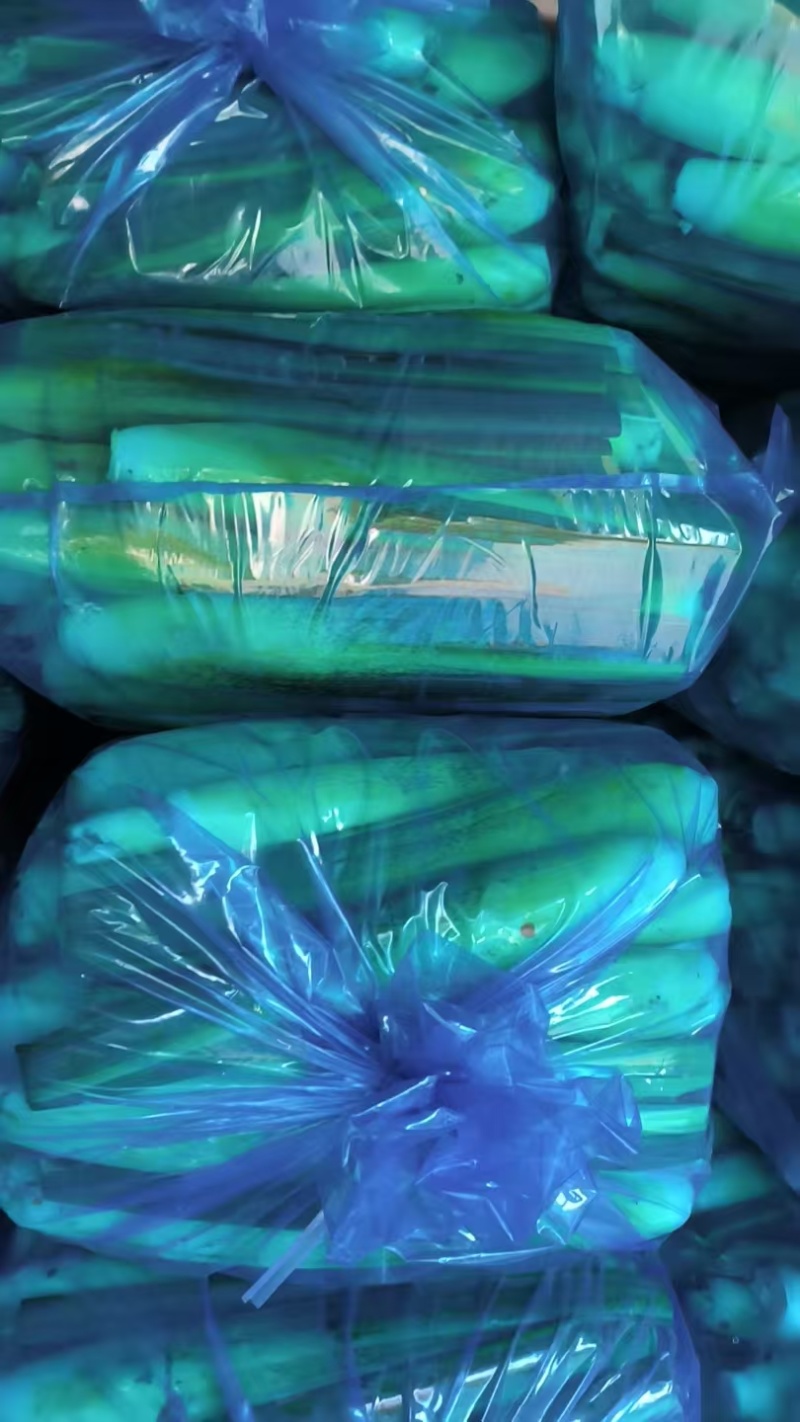 上海美人茭白双季茭白都有现场看货挑货满意为止净菜毛菜都有