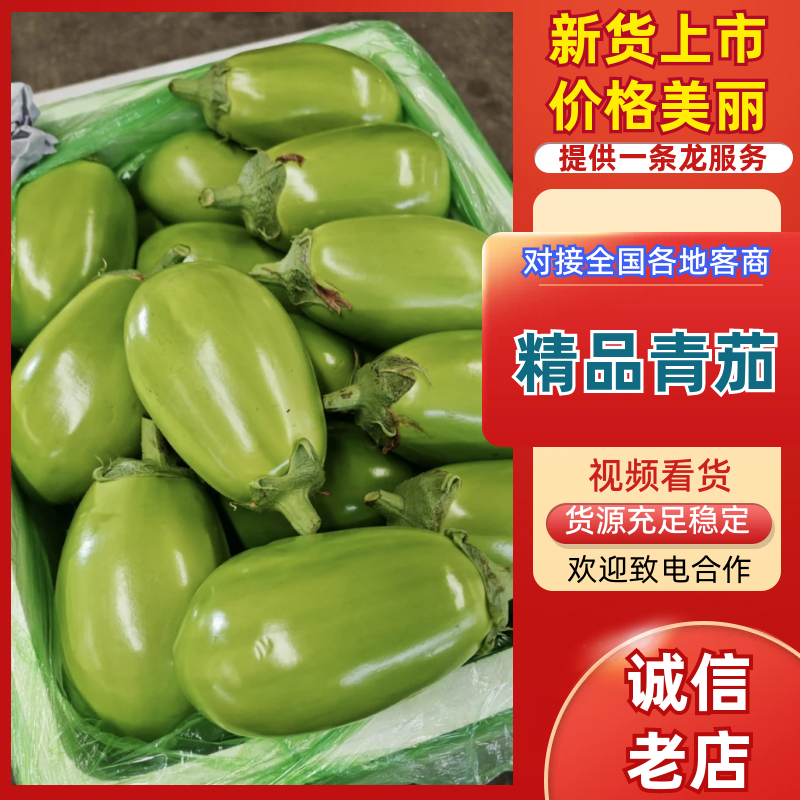 【精品】河南茄子青茄基地特惠直供保质保量对接全国发货