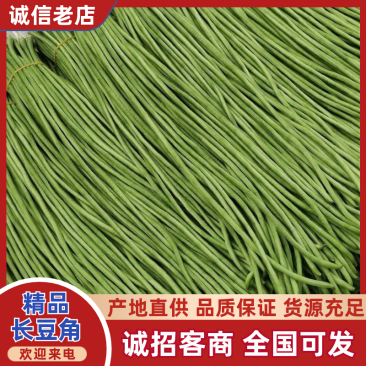 河南豆角长豆角基地特惠直供保质保量可全国发货