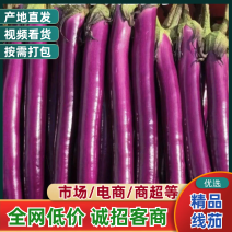 【精品】河南茄子线茄基地特惠直供保质保量对接全国发货