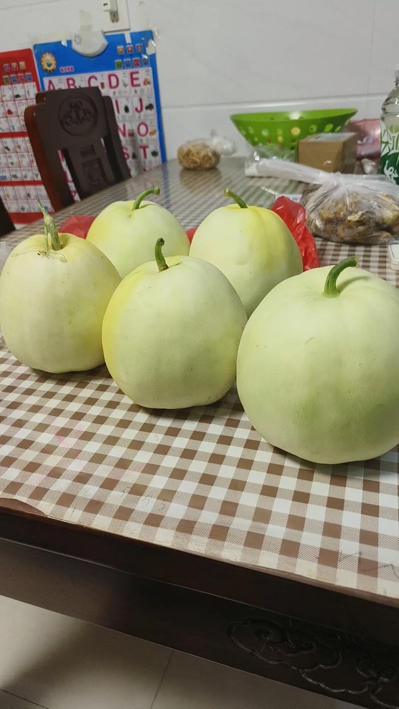 河南甜瓜精品甜宝甜瓜基地一手货源对接电商市场商超