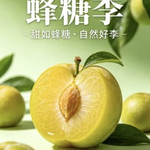 蜂糖李一件可发可对接全国电商市场商超好吃不贵欢迎采购