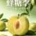 蜂糖李一件可发可对接全国电商市场商超好吃不贵欢迎采购