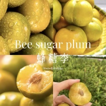 【一件可发】蜂糖李精品李子产地直发对接全国电商，商超