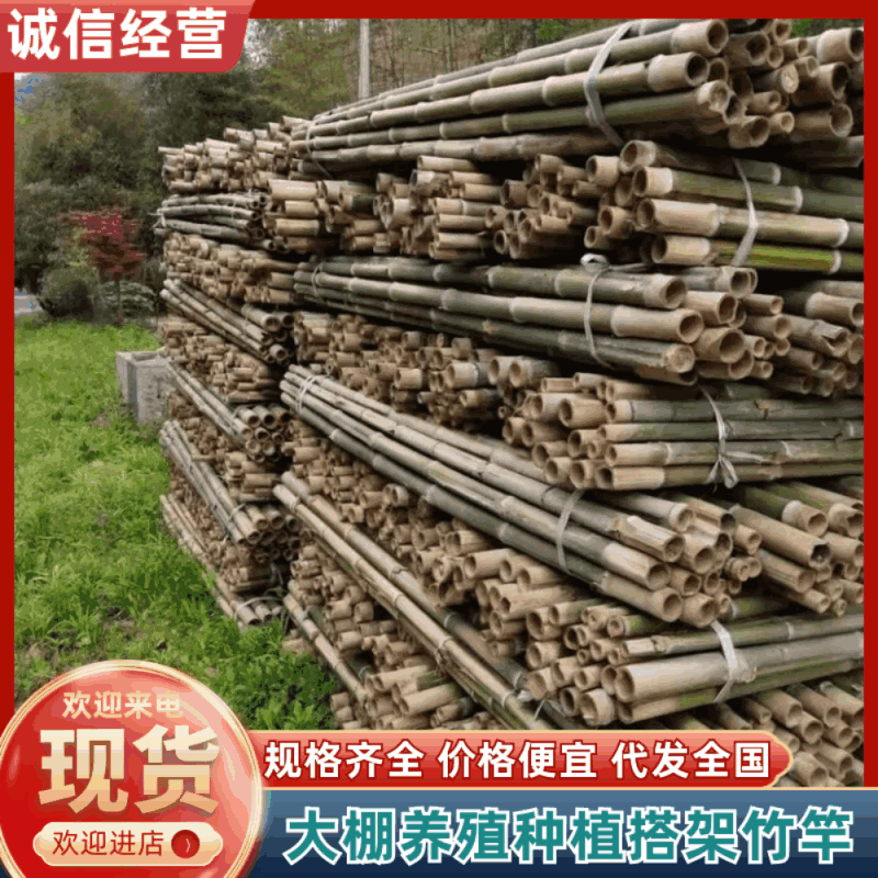 【精品】1.3米~3米育苗竹竿果树支撑杆蔬菜搭架竹竿