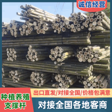 【精品】源头批发苗木支撑竿果树支撑竿毛竹竹梢农用搭架竹