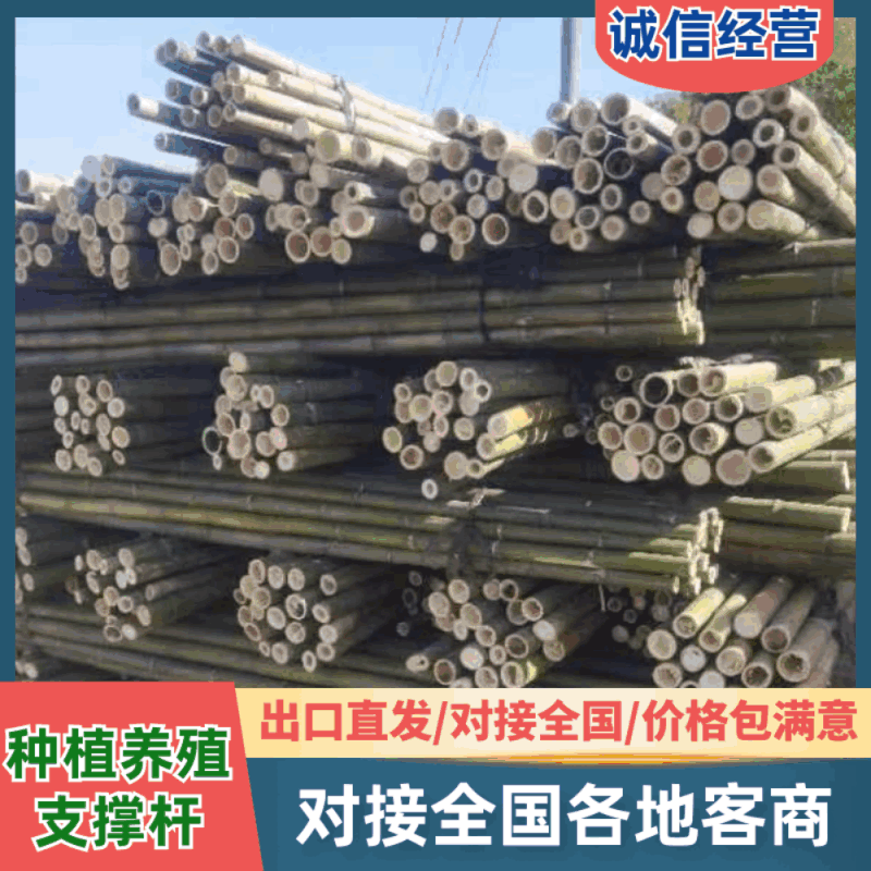 【精品】源头批发苗木支撑竿果树支撑竿毛竹竹梢农用搭架竹