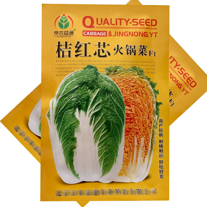 桔红芯火锅菜大白菜种子火锅菜结球紧实耐低温抗病基地型
