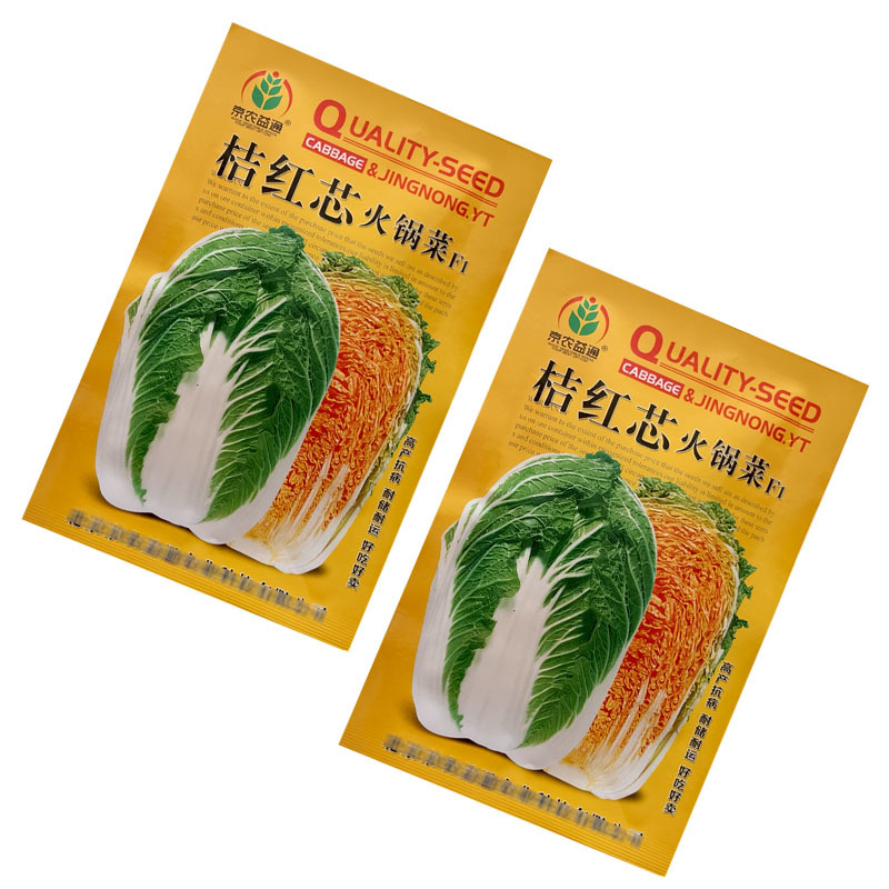 桔红芯火锅菜大白菜种子火锅菜结球紧实耐低温抗病基地型