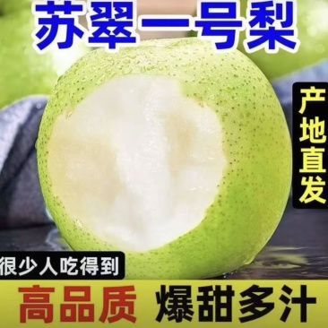 精选酥脆一号梨湖北基地直供质量保证货源充足全国发货