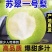 精选酥脆一号梨湖北基地直供质量保证货源充足全国发货