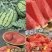 美都麒麟瓜精品西瓜🍉脆甜可口好吃不贵可对接全国电商市场