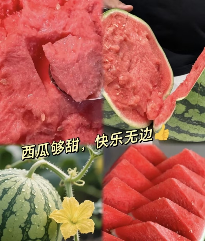 美都麒麟瓜精品西瓜🍉脆甜可口好吃不贵可对接全国电商市场