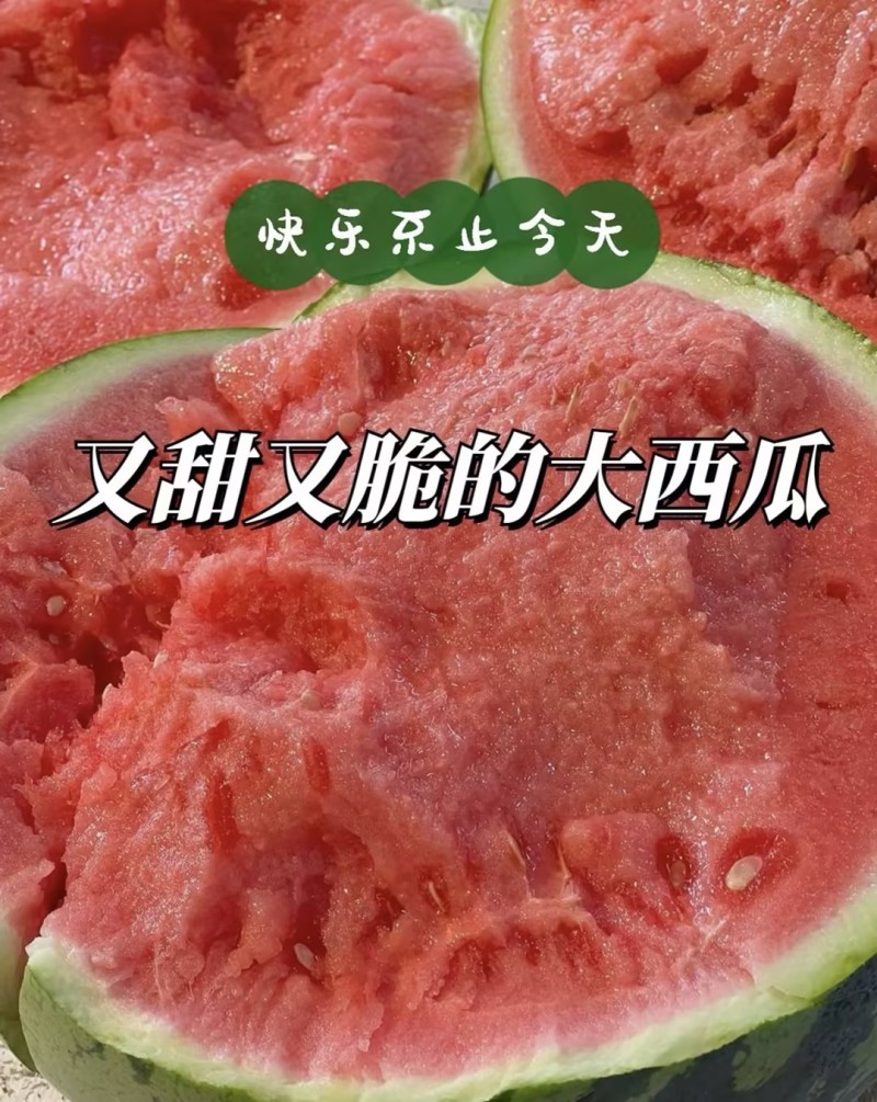 麒麟西瓜美都西瓜无籽西瓜产地直发量大从优可对接全国等