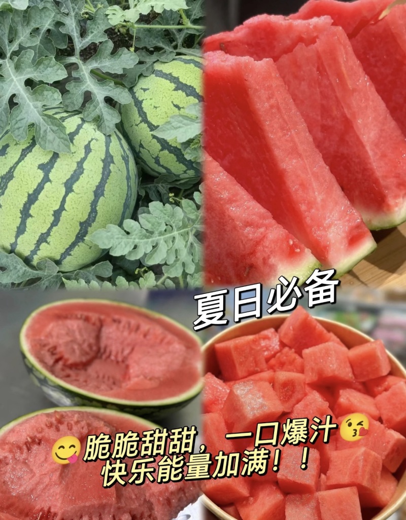 麒麟西瓜美都西瓜无籽西瓜产地直发量大从优可对接全国等