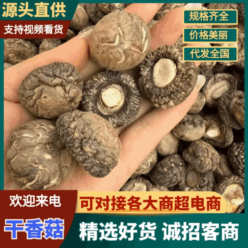 畸形菇大量有货颜色好品质优可对接市场商超可视频看货欢迎