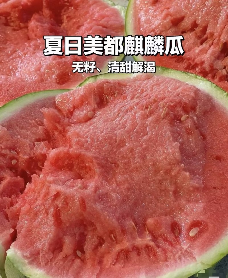 【实力推荐】麒麟西瓜🍉产地直发量大从优可视频看货对接全国