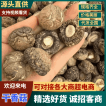 湖北白花菇随州产地一手好货规格全对接各级客商按需配