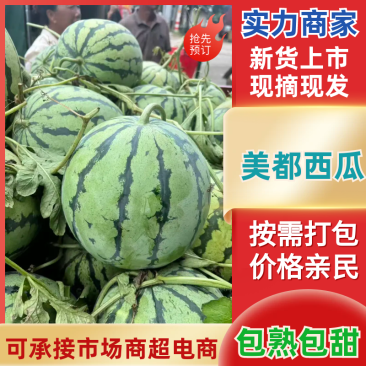 【推荐】美都西瓜西瓜一手货源货源充足保质保量