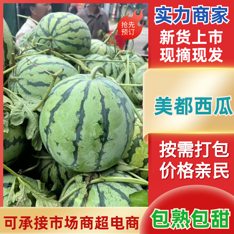 【推荐】美都西瓜西瓜一手货源货源充足保质保量