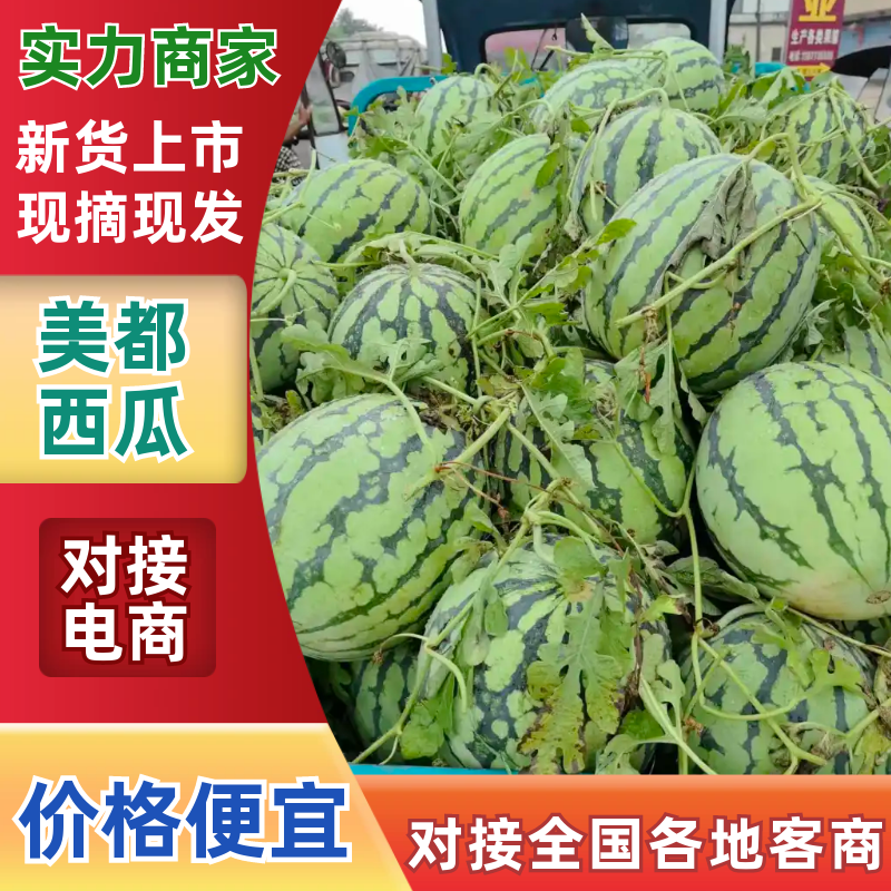 美都西瓜广西精品西瓜甘甜爽口脆甜多汁量大从优