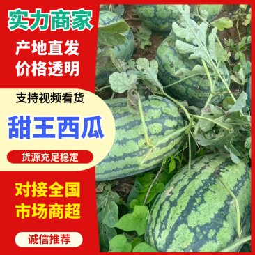 【推荐】甜王西瓜广西西瓜基地直供包熟包甜量大优惠