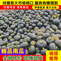 《精选》爆粉贝贝南瓜&陕西产地直发/可发电商批发商超