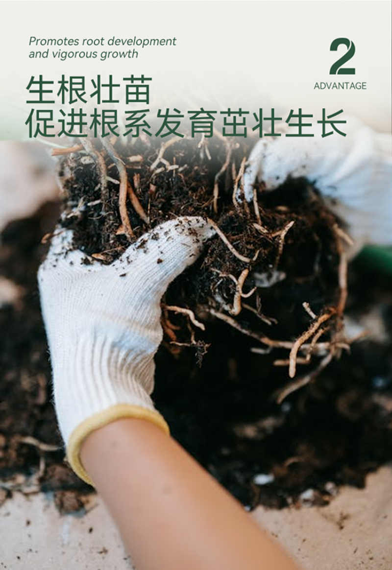 进口泥炭土0-40mm基质育苗水果花卉培育营养土