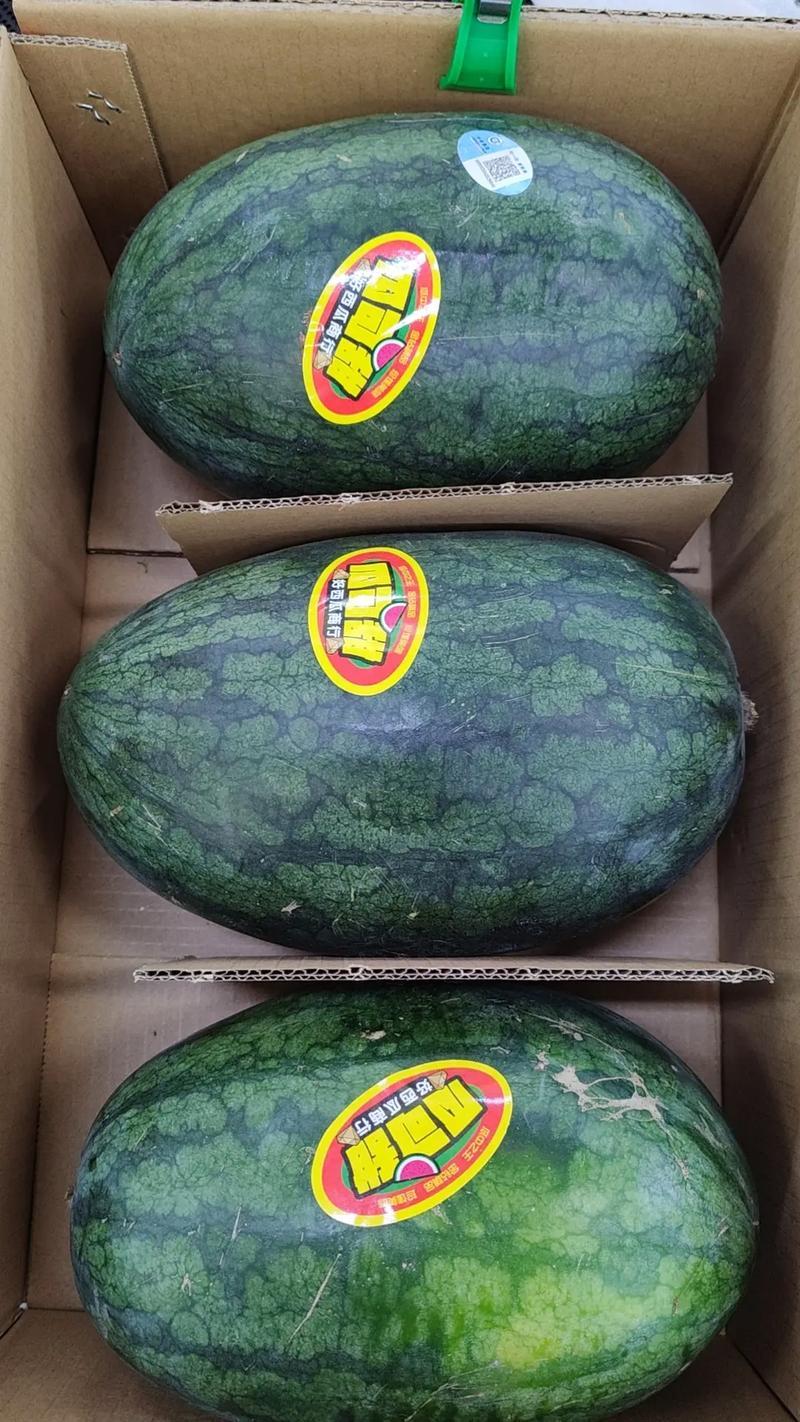 【优选】精品黑美人西瓜对接电商市场商超可视频看货