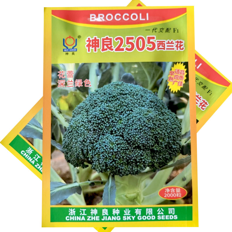 神良2505西兰花种子早熟耐热蕾中等绿花菜花椰菜基地型