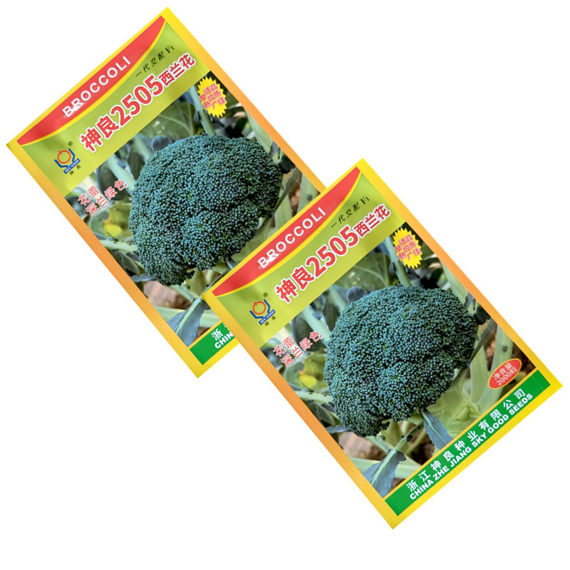 神良2505西兰花种子早熟耐热蕾中等绿花菜花椰菜基地型