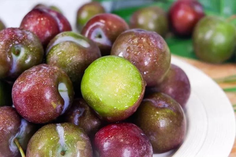 绥中精品脆红李子，产地直发货源充足量大价优欢迎来电