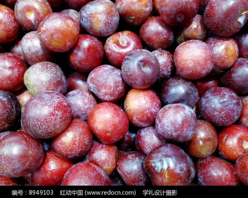 葫芦岛精品【大红袍李子】肉厚核小大量供货产地直发