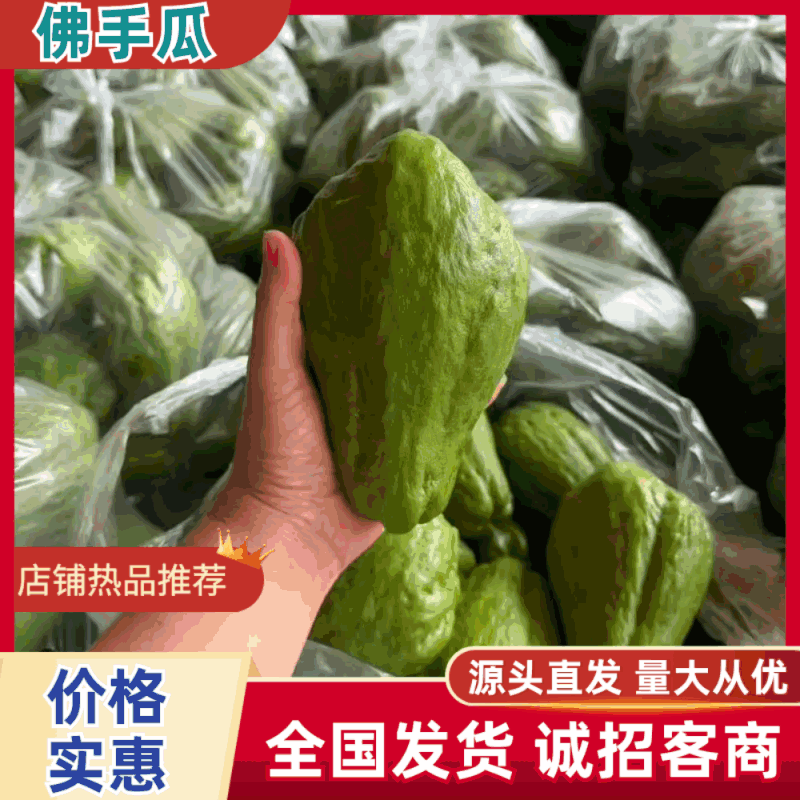 云南精品佛手瓜品质保证货源充足产地装车量大从优
